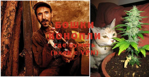 ALPHA-PVP Няндома