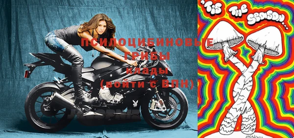 ALPHA-PVP Няндома